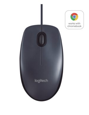RATON LOGITECH B100 NEGRO USB