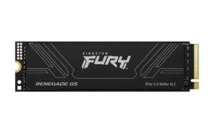 SSD KINGSTON FURY 1TB RENEGADE G5