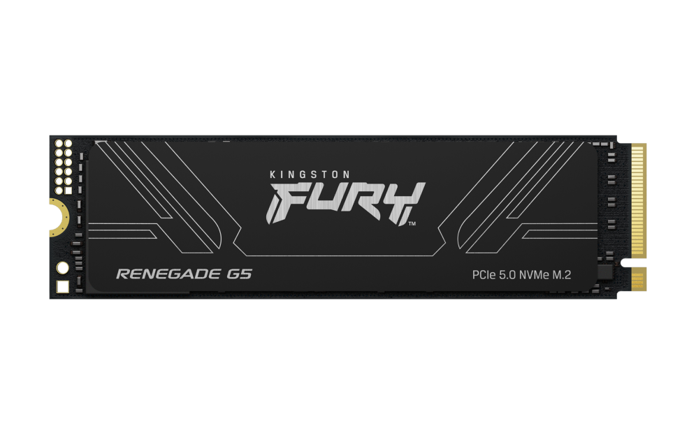 SSD KINGSTON FURY 1TB RENEGADE G5