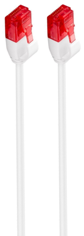 CABLE RED SLIM EWENT CAT6 U/UTP 0,25M BLANCO