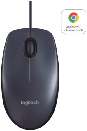 RATON LOGITECH B100 NEGRO USB
